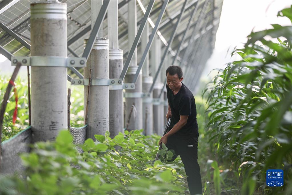 威尼斯人贵宾会红包雨